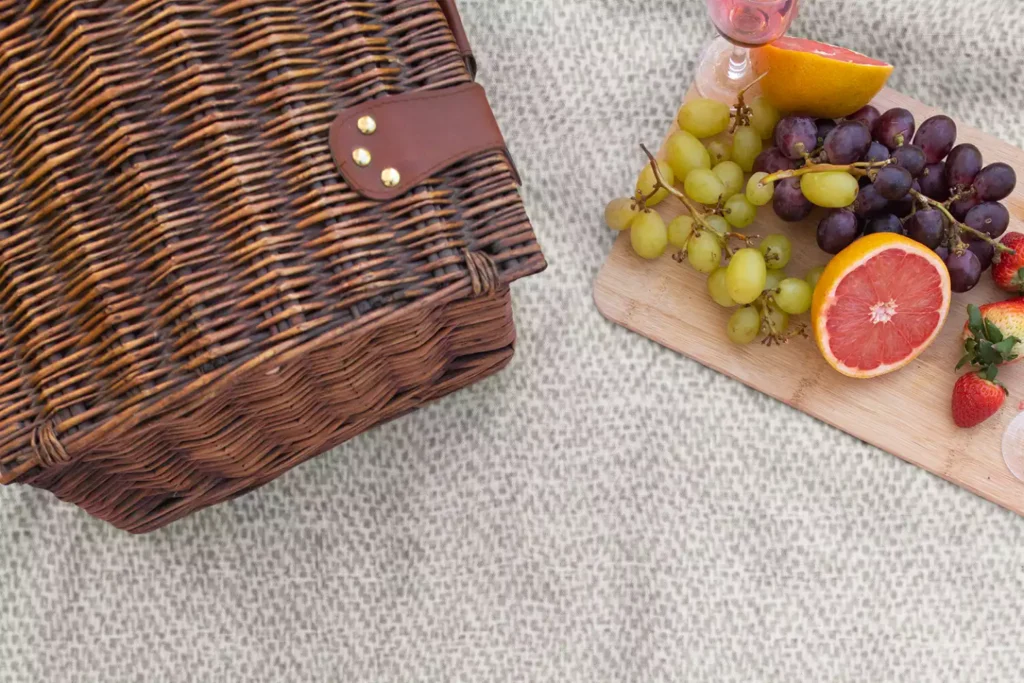 Portable Picnic Blanket