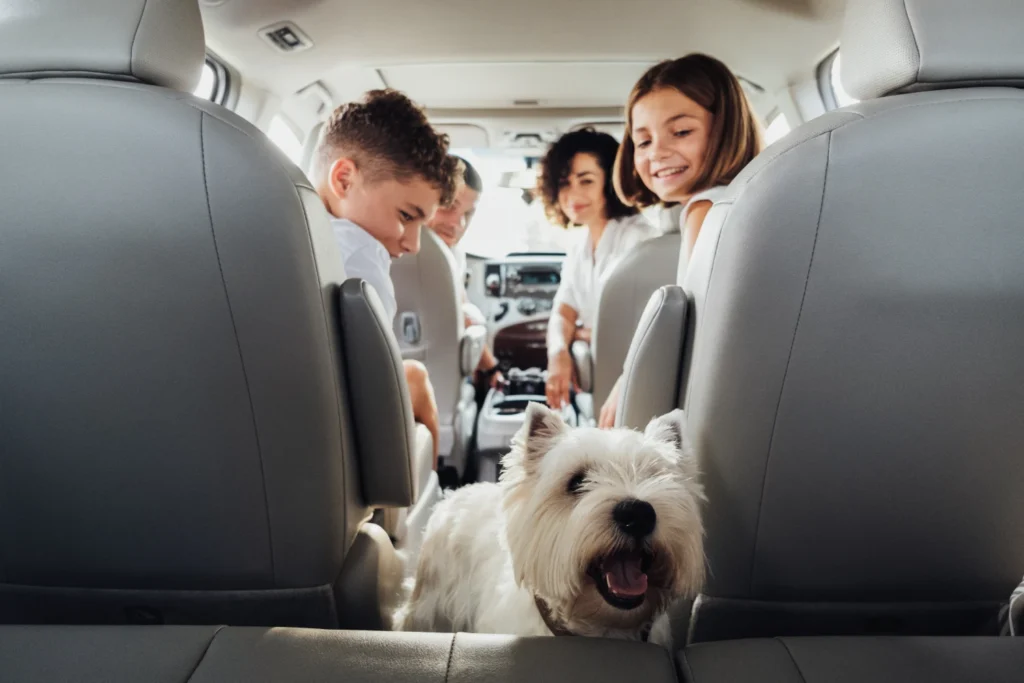 Kia Soul Dog Car Seat for West Highland White Terriers