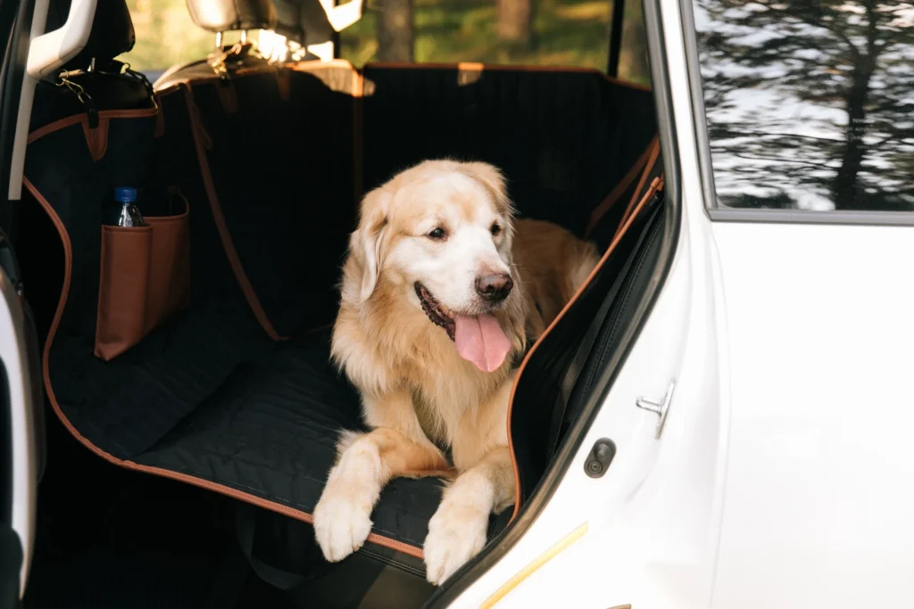 Toyota Tacoma Dog Car Seat Belt for Golden Retrievers