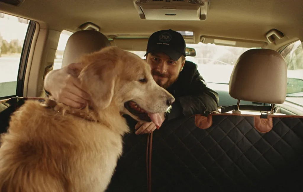 Dog Back Seat Cover for Ford F-Series