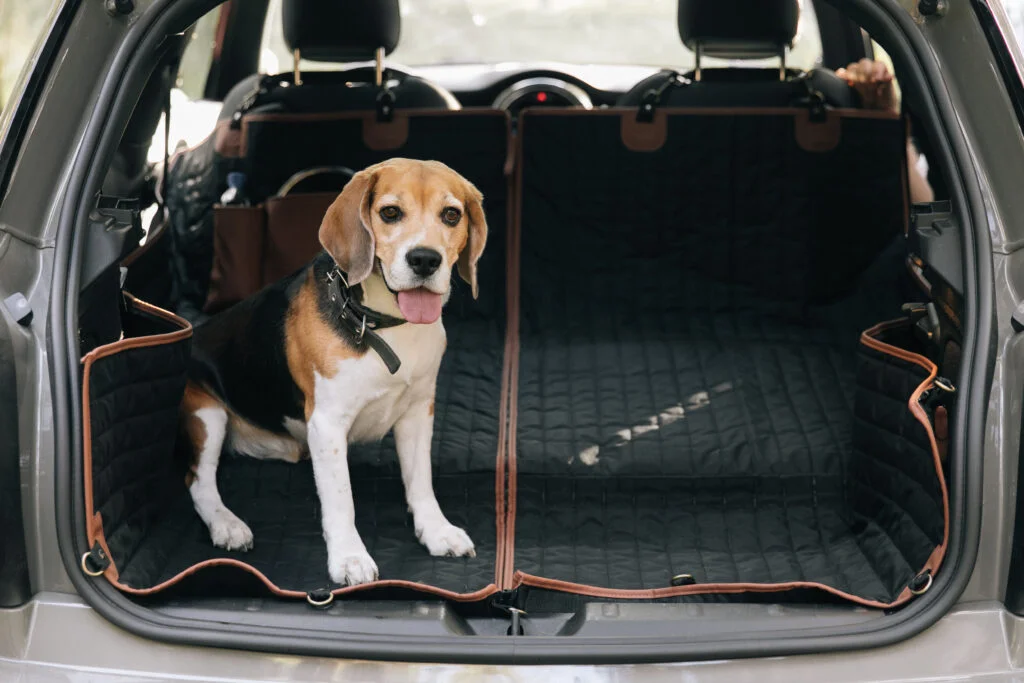 Pet Seat Cover for Chrysler Pacifica